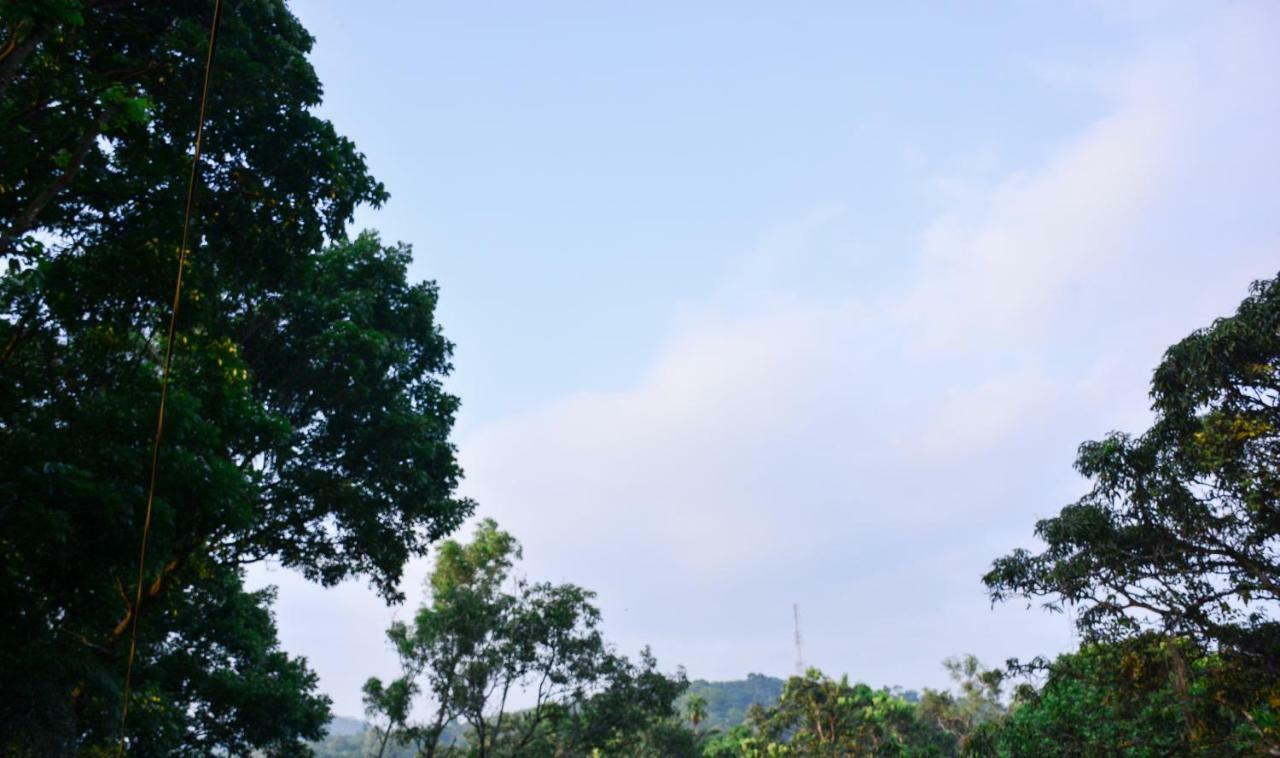 Ceylon Saradiel Home Stay Mawanella Esterno foto