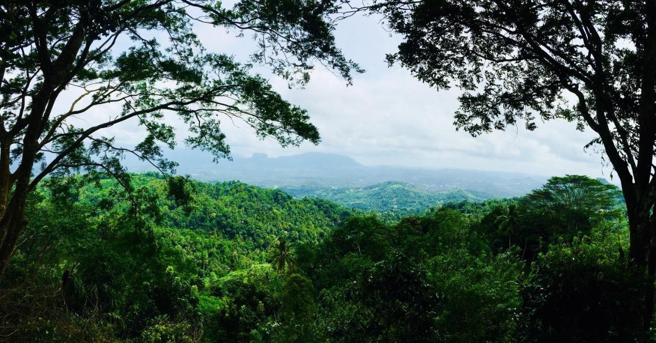 Ceylon Saradiel Home Stay Mawanella Esterno foto